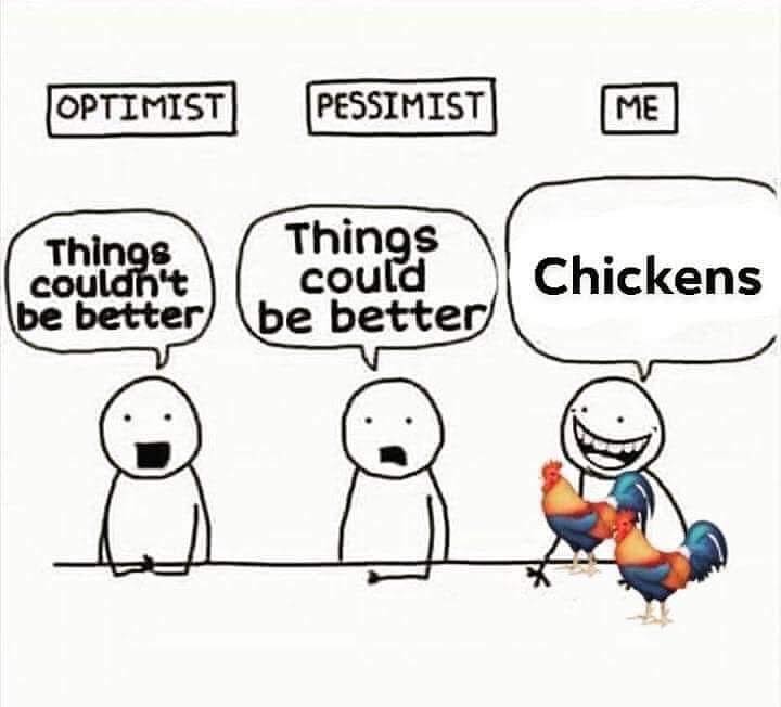 Chicken Optimist.jpg