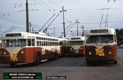 nopsielectricbusses.jpg