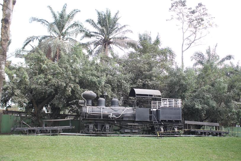 Guatamala Shay.jpg