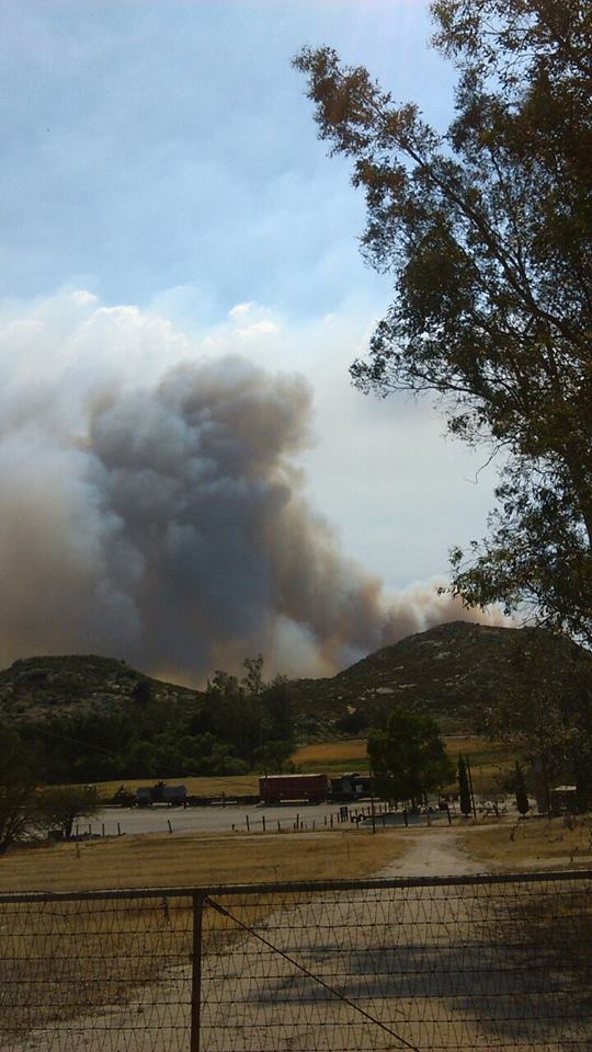 border fire.jpg