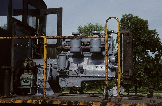339.jpg