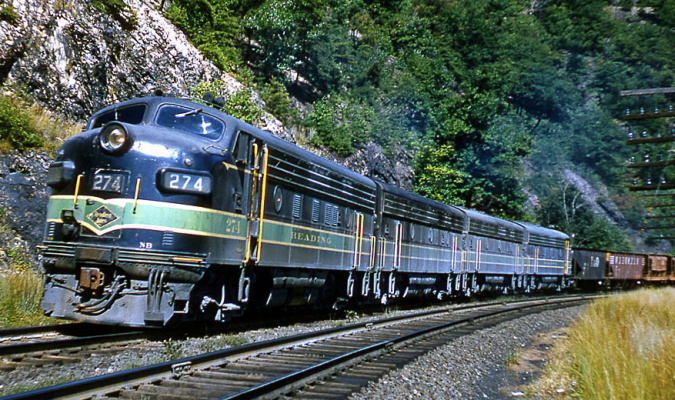 rdg274.jpg