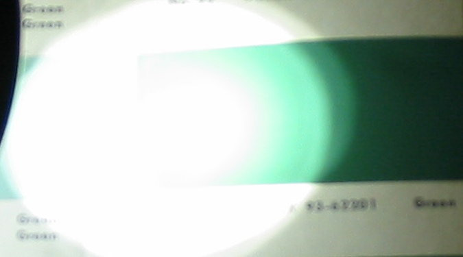 magliteseacrestflash.jpg