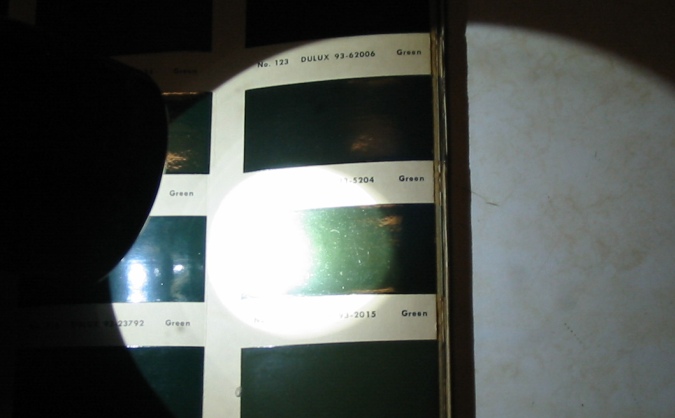 maglitebrewstergreen.jpg