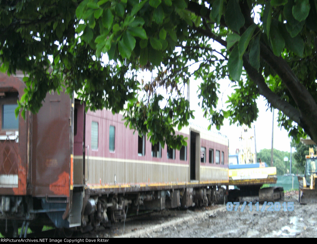 SANY4029.JPG