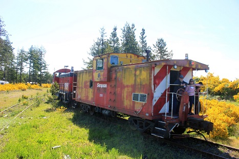 Caboose Hop 004-1-1.jpg
