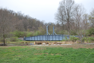 DSC_0648a.jpg