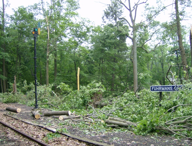 ed1572.jpg