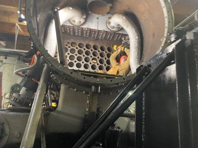 Frankie-in-smoke-box- reduced.jpg