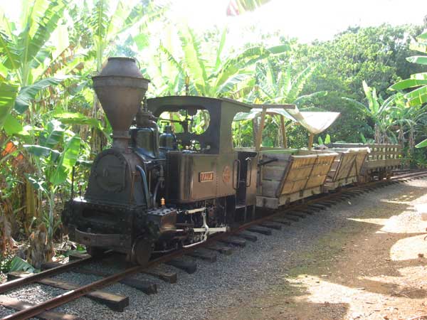 paulo-train.jpg