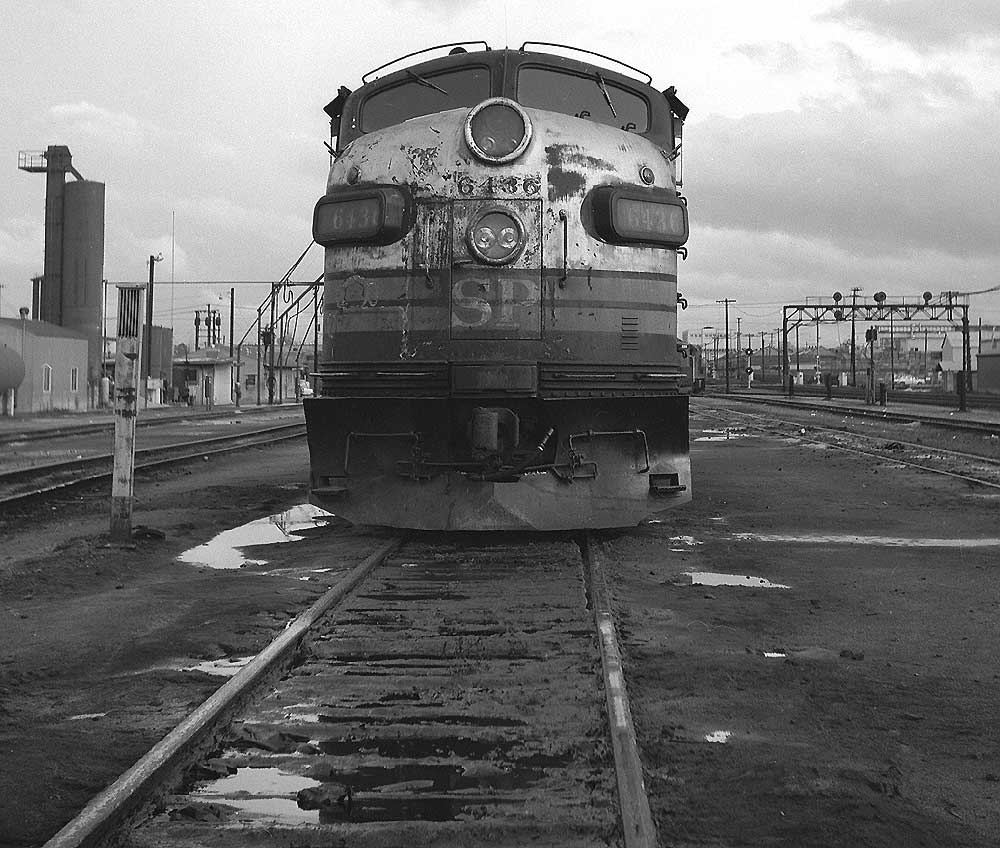 id755.jpg