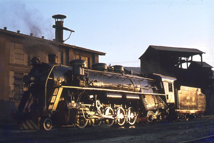 Texan 312.jpg