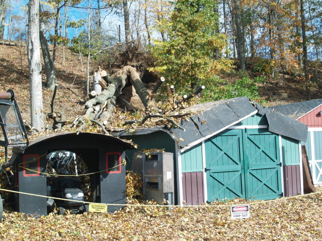 Sandy 16.jpg