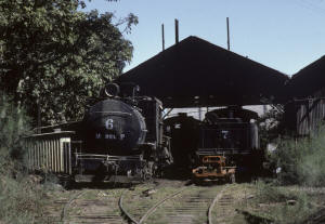Click on image to enlarge. Photo by Sammy King.
